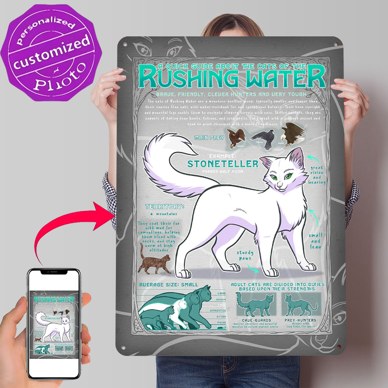 Guide to Rushing Water Cats Ti - Retro Gaming Guide 评论和价格